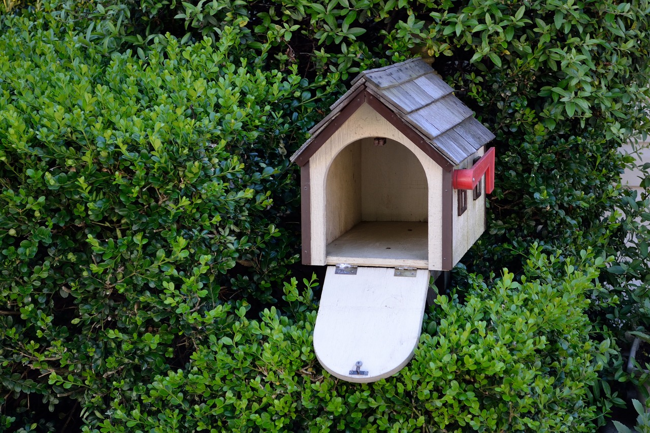 Simple DIY Birdhouses for Your Eco-Friendly Garden